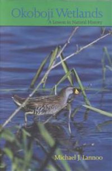 Okoboji Wetlands