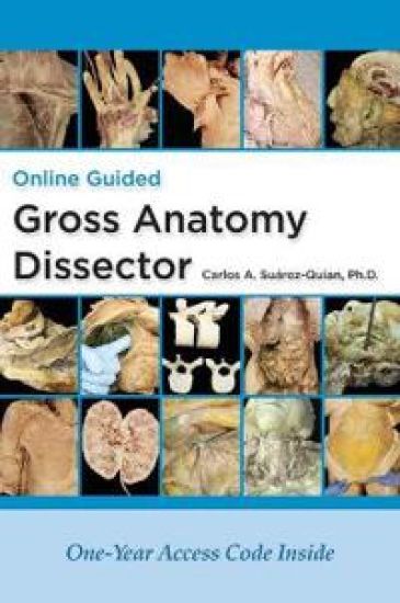 Gross Anatomy Dissector