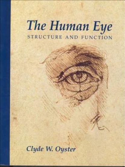 The Human Eye