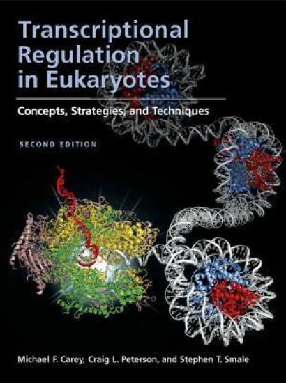 Transcriptional Regulation in Eukaryotes