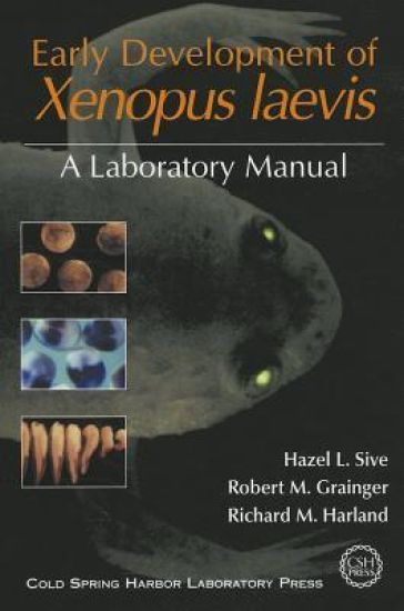 Early Development of Xenopus Laevis: A Laboratory Manual