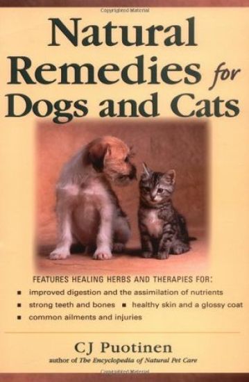 Natural Remedies For Dogs And Cats