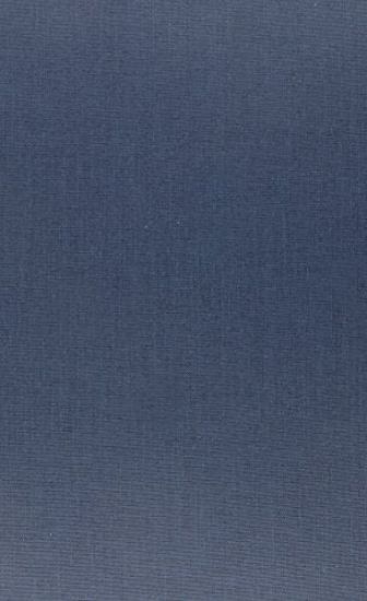 Models of Representation in Czech Literary History