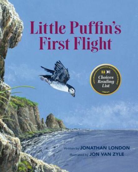 Little Puffin's First Flight