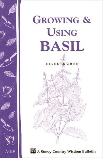Growing & Using Basil