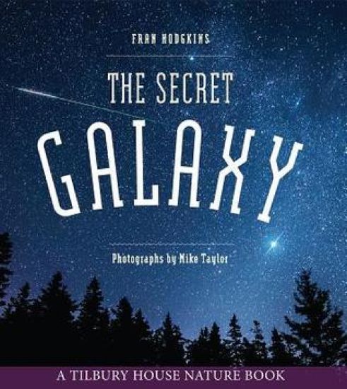 The Secret Galaxy