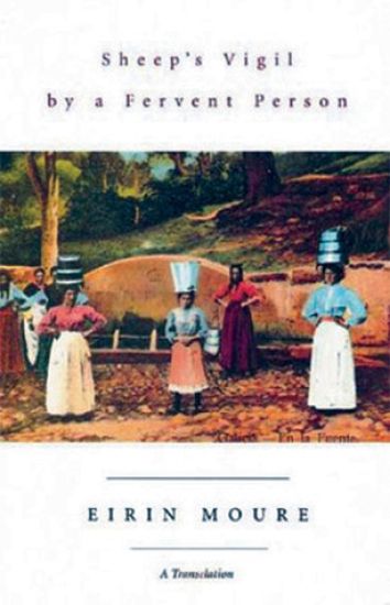 Sheep's Vigil by a Fervent Person