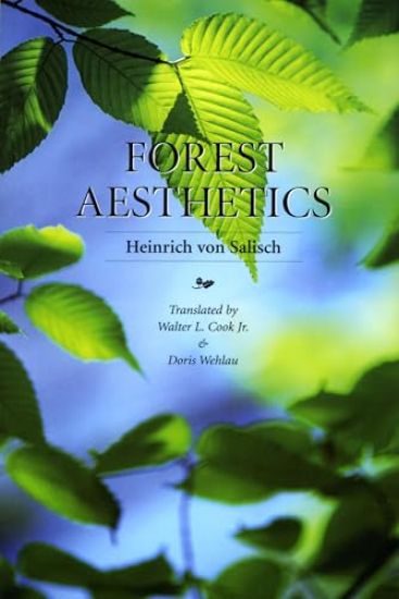 Forest Aesthetics
