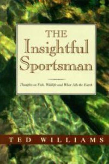 The Insightful Sportsman