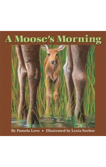 A Moose's Morning