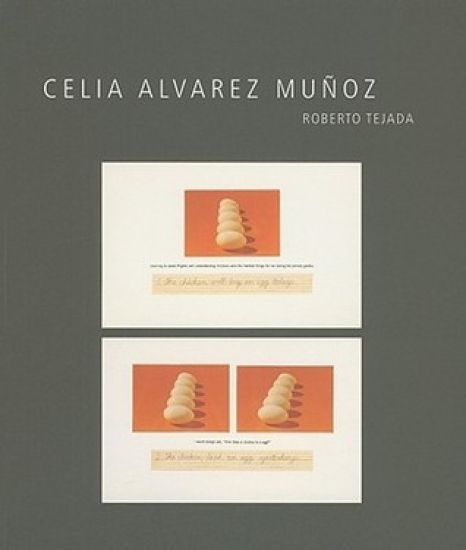 Celia Alvarez Muñoz