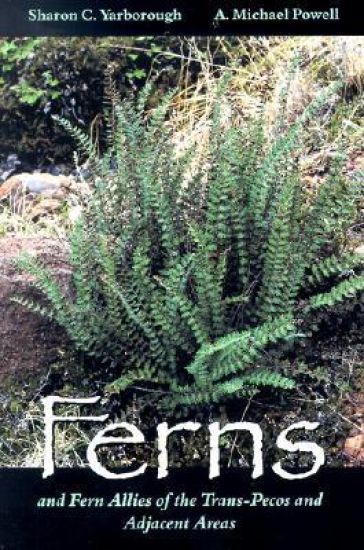 Ferns and Fern Allies of the Trans-Pecos and Adjacent Areas