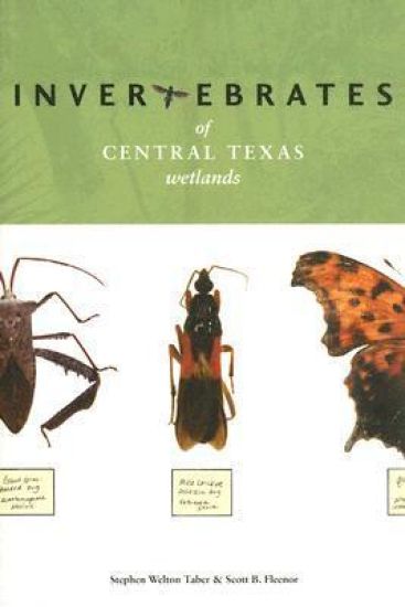 Invertebrates of Central Texas Wetlands