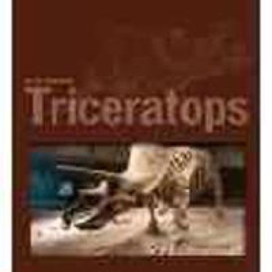 Triceratops