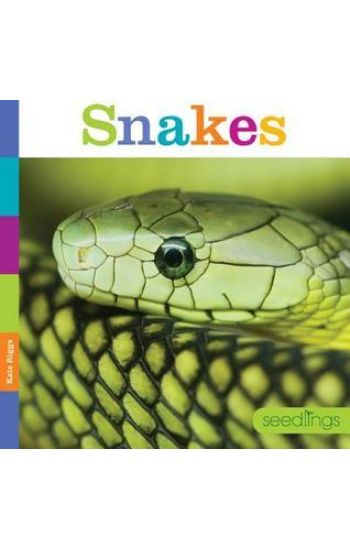 Snakes