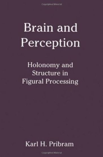 Brain and Perception