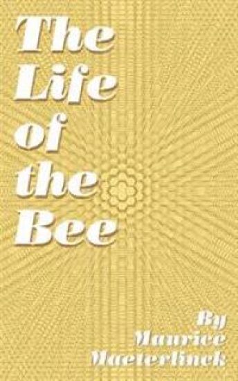 The Life of the Bee