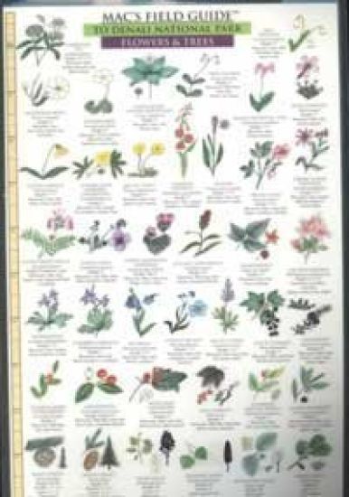 Mac's Field Guides: Denali National Park
