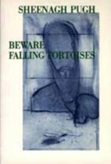 Beware Falling Tortoises