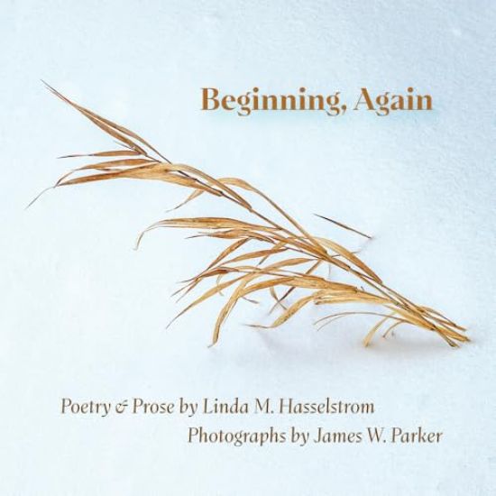 Beginning, Again