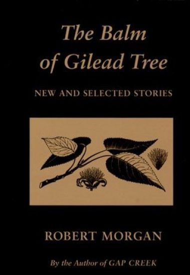 The Balm of Gilead Tree