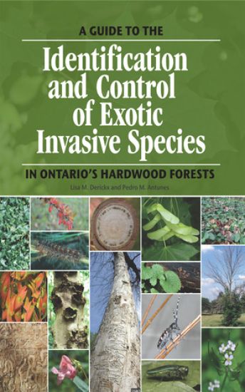 A guide to the identification and control of exotic invasive species in Ontario's hardwood forests