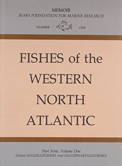 Volume 1 and 2: Orders Anguilliformes and Saccopharyngiformes and Leptocephali