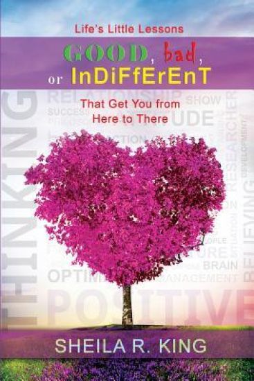 Life's Little Lessons: Good, Bad, or Indifferent: That Get You from Here to There