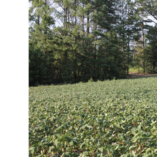 Kevin Beasley – A View of a Landscape