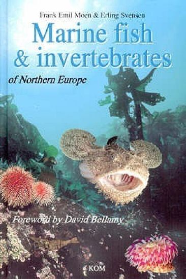 Marine FishInvertebrates of Northern Europe