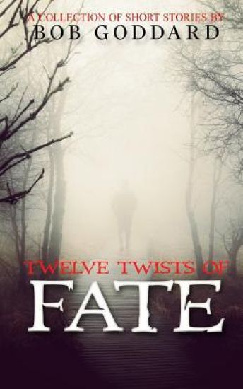 Twelve Twists of Fate: A Collection of Short Stories
