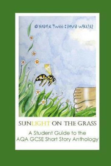 Sunlight on Grass: a Student Guide to the AQA GCSE Short Story Anthology