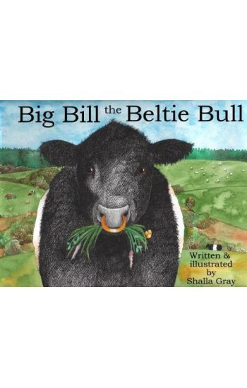 Big Bill the Beltie Bull
