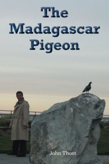 The Madagascar Pigeon