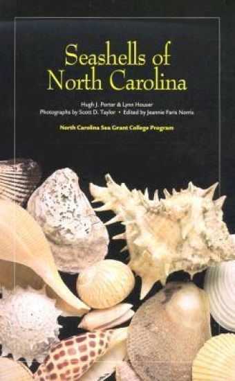Seashells of North Carolina