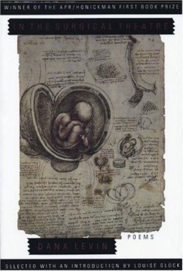 In the Surgical Theatre