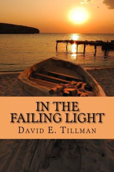 In the Failing Light: A Memoir of Love and Cancer