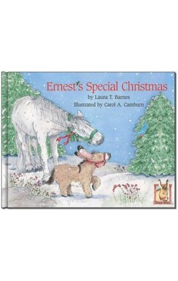 Ernest's Special Christmas