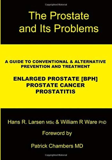 The Prostate and Its Problems: A Guide to Conventional and Alternative Prevention and Treatment