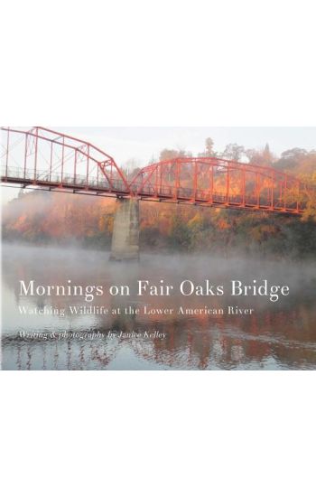 Mornings on Fair Oaks Bridge: Watching Wildlife at the Lower American River