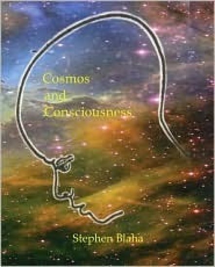 Cosmos and Consciousness
