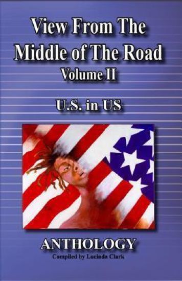 View from the middle of the road: U.S. in US