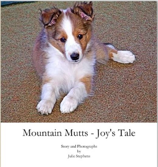 Mountain Mutts - Joy's Tale