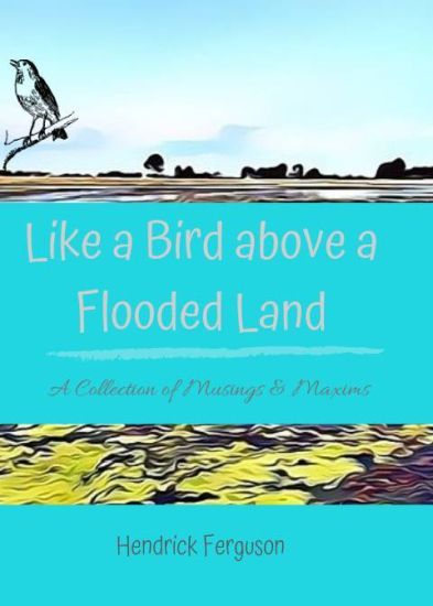 Like a Bird Above a Flooded Land: A Collection of Musings & Maxims