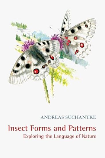 Insect Forms and Patterns Exploring the Language of Nature
