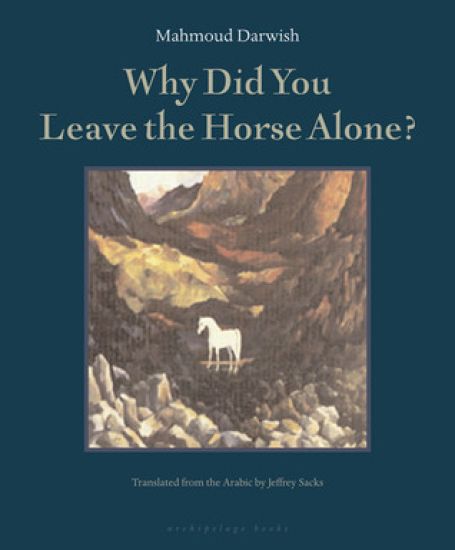 Why Did You Leave The Horse Alone
