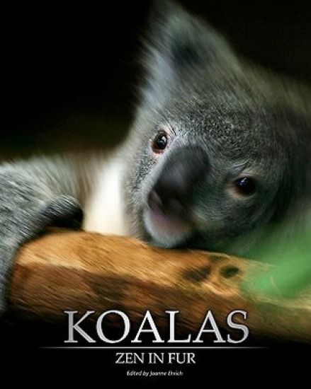 Koalas: Zen in Fur