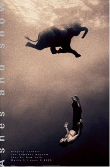 Gregory Swimming with Elephant New York Exhibition (Standard Poster): New York Exhibition (Standard Poster)