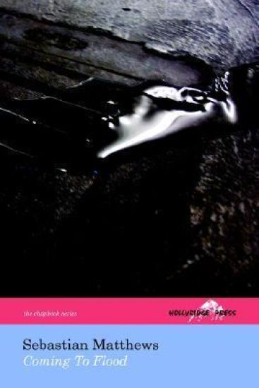 Coming To Flood (The Hollyridge Press Chapbook Series)