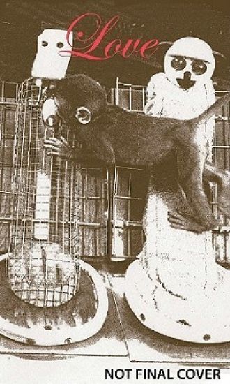 Wire Mothers & Inanimate Arms: Harry Harlow And The Science Of Love